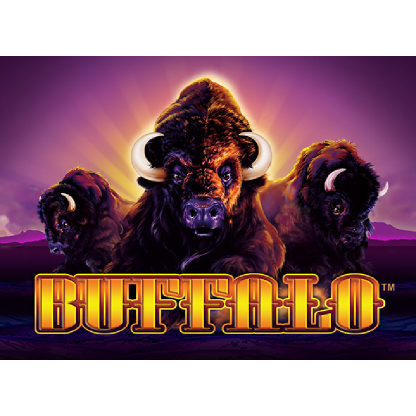 Collection product 3